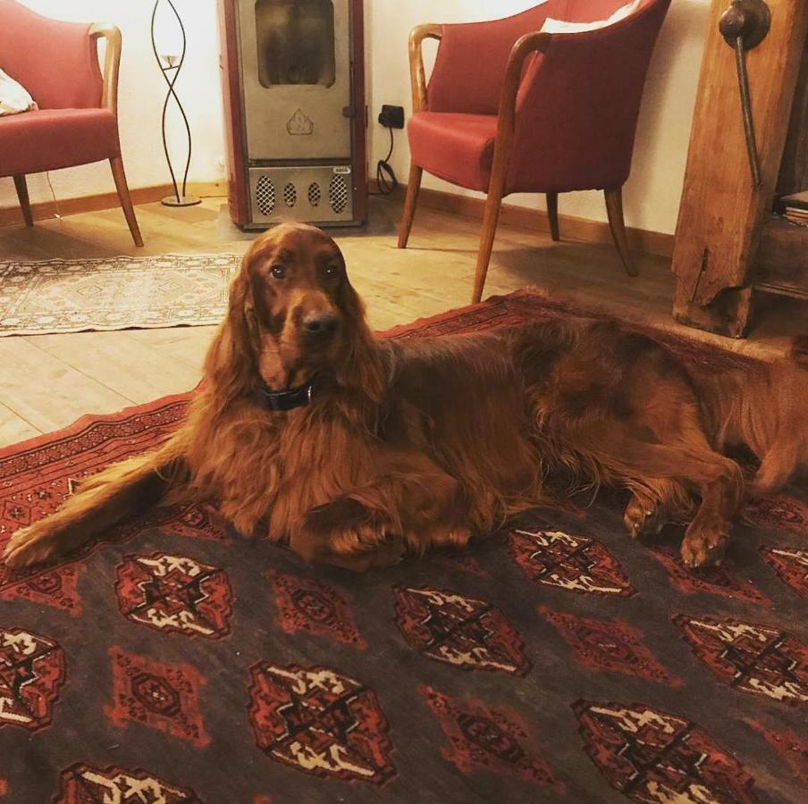 Albergo Aprica Garni Eksteriør billede
